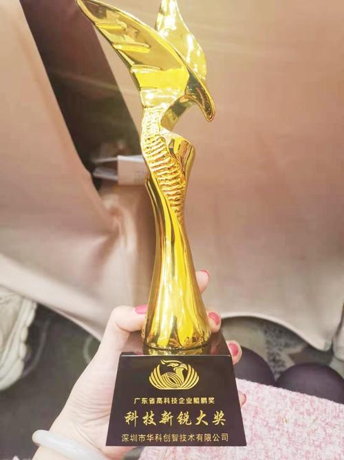 融合科技与文化脱颖而出 华科创智荣获鲲鹏奖“科技新锐大奖”，颖郝科技同台见证创新力量